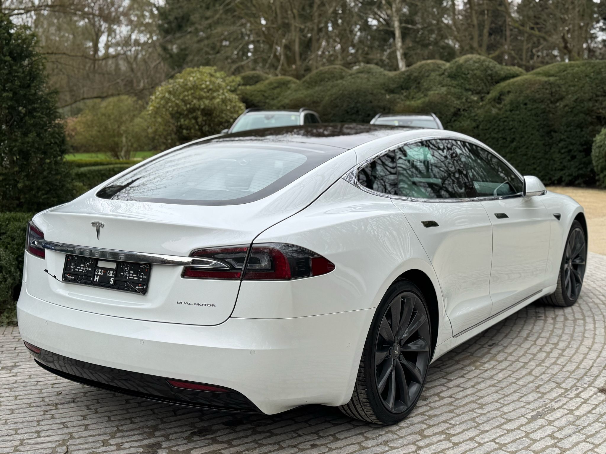 2019 Tesla Model S Long Range-Raven-FSD - Image 8